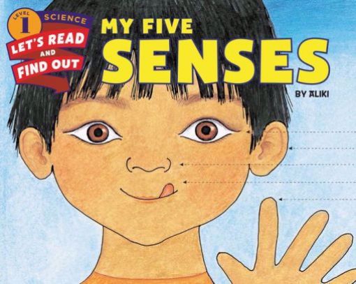 Picture of MY FIVE SENSES