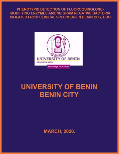 Picture of PHENOTYPIC DETECTION OF FLUOROQUINOLONE-MODIFYING ENZYMES AMONG GRAM NEGATIVE BACTERIA ISOLATED FROM CLINICAL SPECIMENS IN BENIN CITY, EDO STATE.