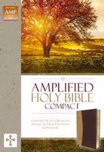 Picture of AMPLIFIED HOLY BIBLE COMPACT-DUO