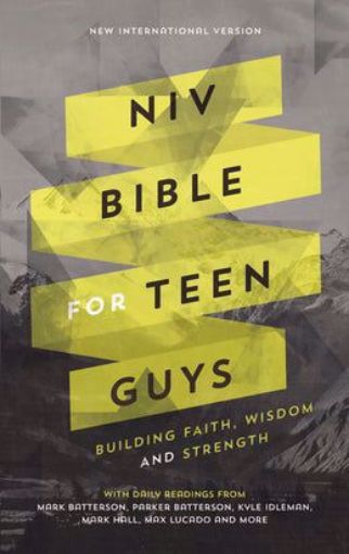 Picture of NIV BIBLE FOR TEEN GUYS