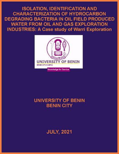 Picture of ISOLATION, IDENTIFICATION AND CHARACTERIZATION OF HYDROCARBON DEGRADING BACTERIA IN OIL FIELD PRODUCED WATER FROM OIL AND GAS EXPLORATION INDUSTRIES: A Case study of Warri Exploration Site