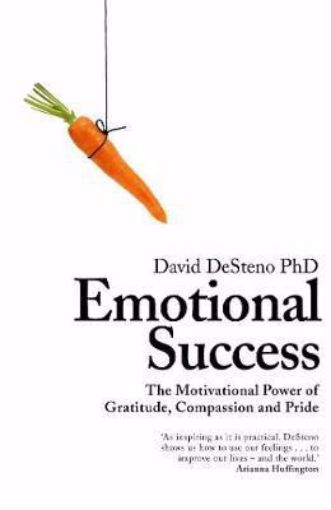 Picture of EMOTIONAL SUCCESS  p/c