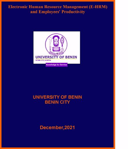 Picture of Electronic Human Resource Management (E-HRM) and Employees’ Productivity