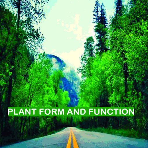 Picture of PLANT FORM AND FUNCTION: Lecture Note and Workbook