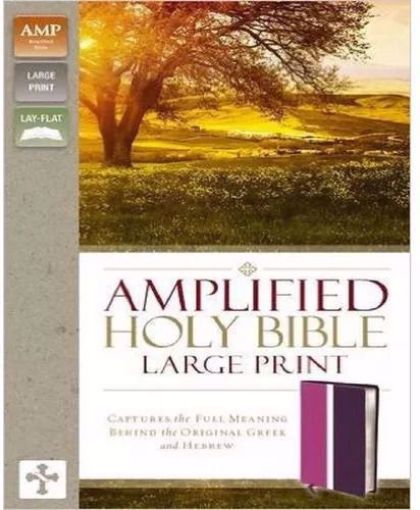 Picture of AMP-HOLY BIBLE LARGE PRINT