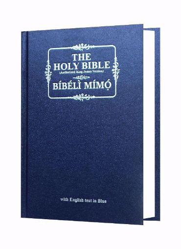 Picture of KJV DIGLOT COLOUR YOR63