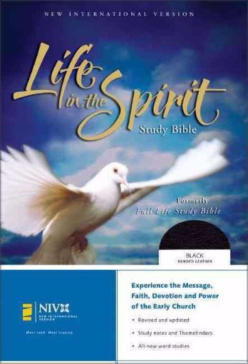 Picture of Life in the Spirit Study Bible formerly  full life study bible
