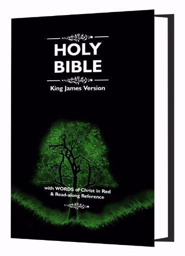 Picture of Holy Bible (KJV 43 Ref WCR)