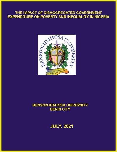 Picture of THE IMPACT OF DISAGGREGATED GOVERNMENT EXPENDITURE ON POVERTY AND INEQUALITY IN NIGERIA