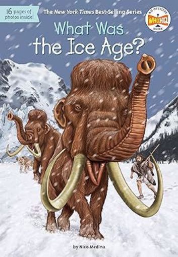Picture of WHAT WAS THE ICE AGE?