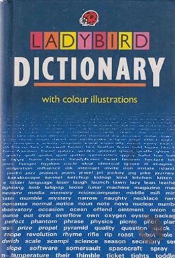 Picture of LADYBIRD DICTIONARY