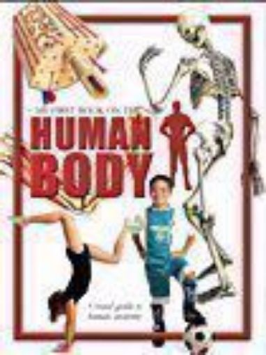 Picture of MY FIRST BOOK ON THE HUMAN BODY