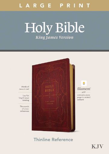 Picture of KJV-THINELINE REFERENCE BIBLE ORNATD