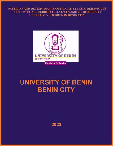 Picture of PATTERNS AND DETERMINANTS OF HEALTH SEEKING BEHAVIOURS FOR COMMON CHILDHOOD ILLNESSES AMONG MOTHERS OF UNDERFIVE CHILDREN IN BENIN CITY